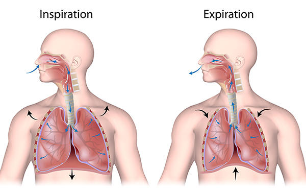 Science behind Breathing ? 